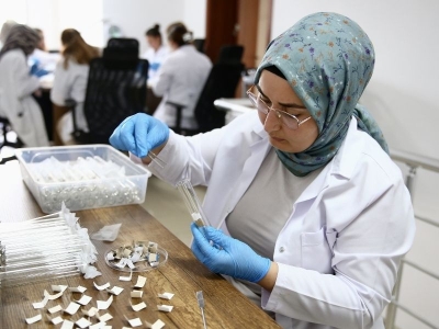 Giresun'da üretilen samuray arılar göreve hazır