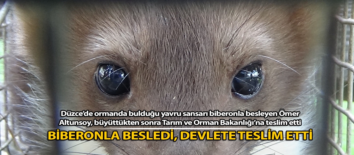 Biberonla besledi, devlete teslim etti