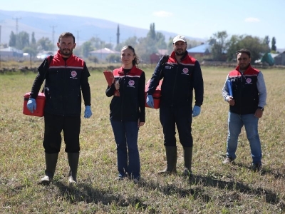 Şap hastalığına karşı aşı seferberliği
