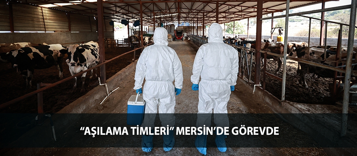 “Aşılama timleri” Mersin’de görevde
