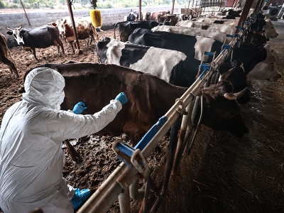 “Aşılama timleri” Mersin’de görevde