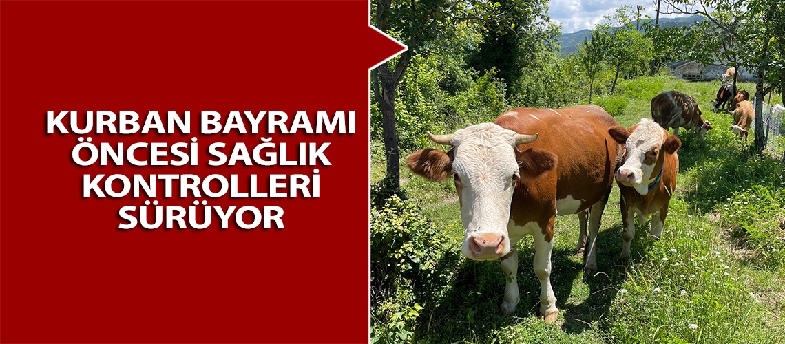 Kurban Bayramı öncesi sağlık kontrolleri sürüyor