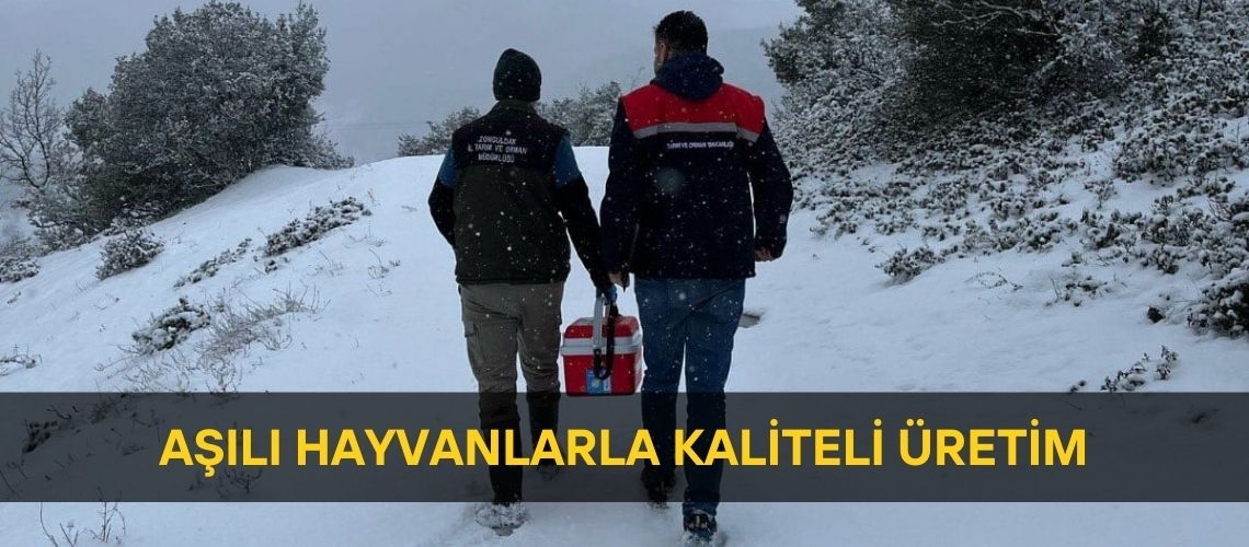 Aşılı hayvanlarla kaliteli üretim