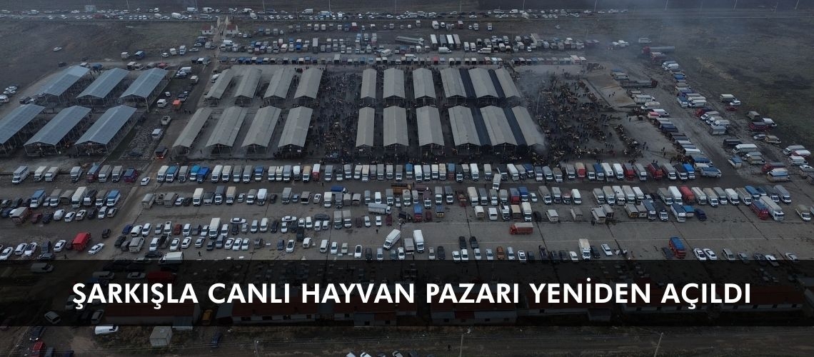 Şarkışla Canlı Hayvan Pazarı yeniden açıldı
