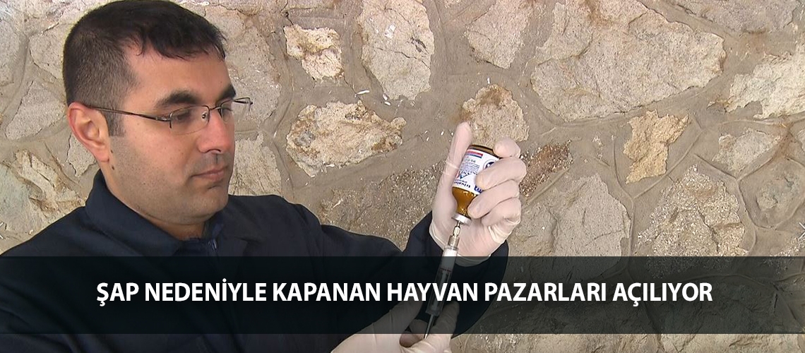 Şap nedeniyle kapanan hayvan pazarları açılıyor