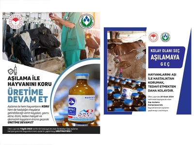 Şap hastalığına karşı aşı dozu bu yıl 3'e yükseltildi