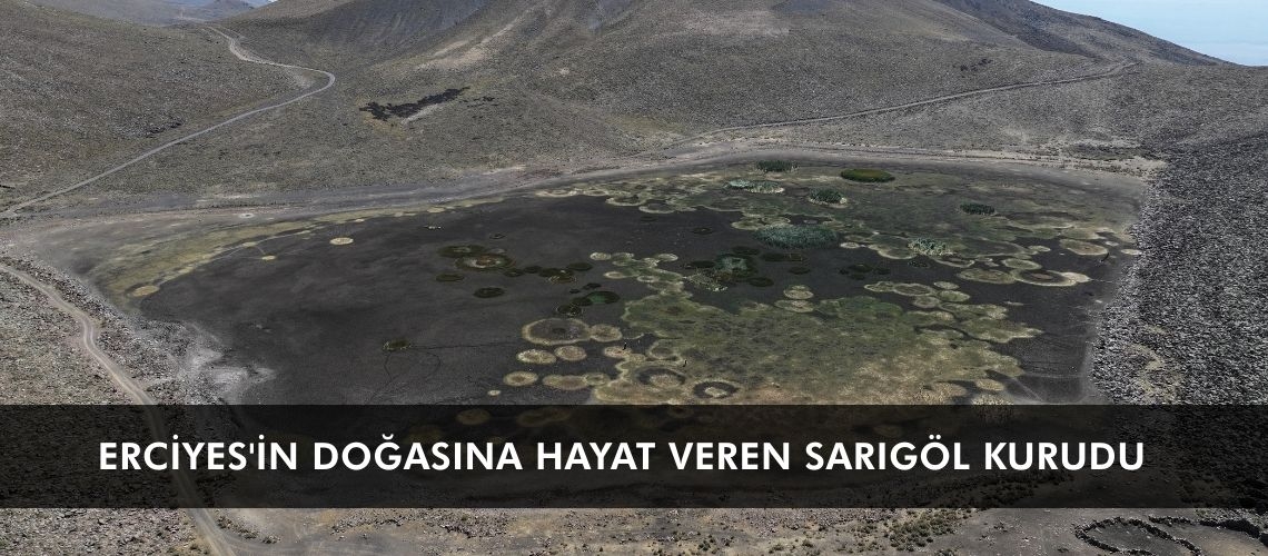 Erciyes'in doğasına hayat veren Sarıgöl kurudu