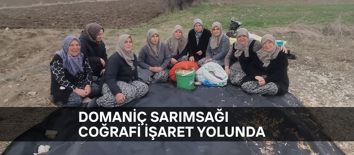 Domaniç sarımsağı coğrafi işaret yolunda