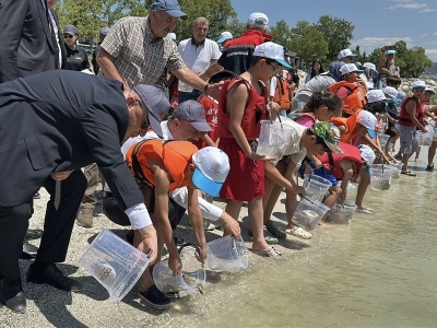 Eğirdir Gölü’ne 100 bin yavru sazan