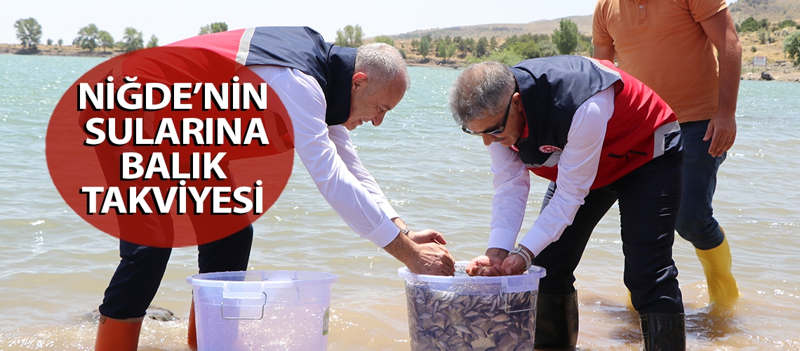 Niğde’nin sularına balık takviyesi