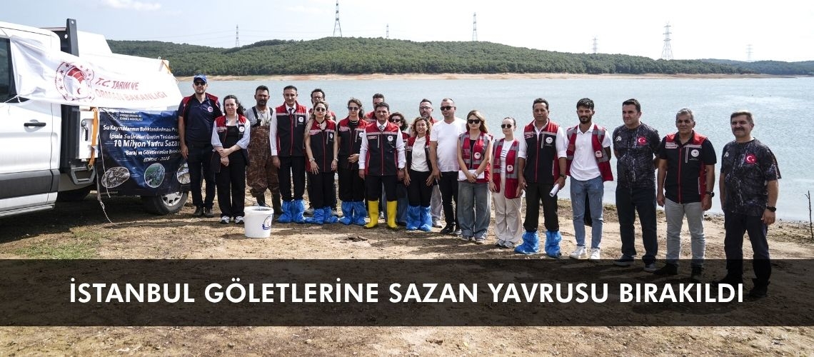 İstanbul göletlerine sazan yavrusu bırakıldı