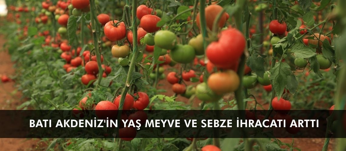 Batı Akdeniz'in yaş meyve ve sebze ihracatı arttı