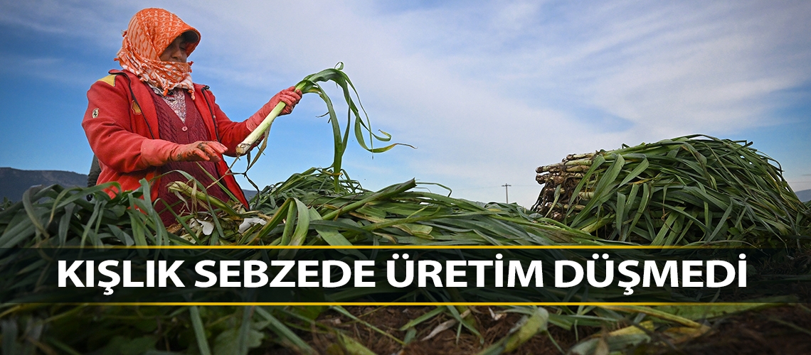 Kışlık sebzede üretim düşmedi