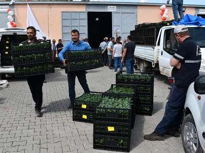 Çankırı sebzecilikte atağa kalktı