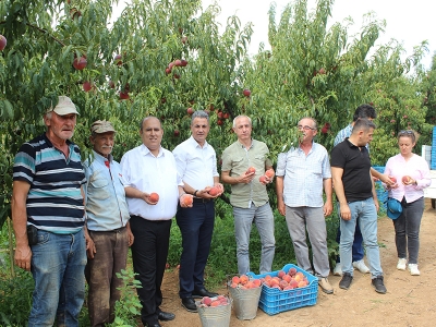 Bahçelerin bereketi ihracata yansıyor