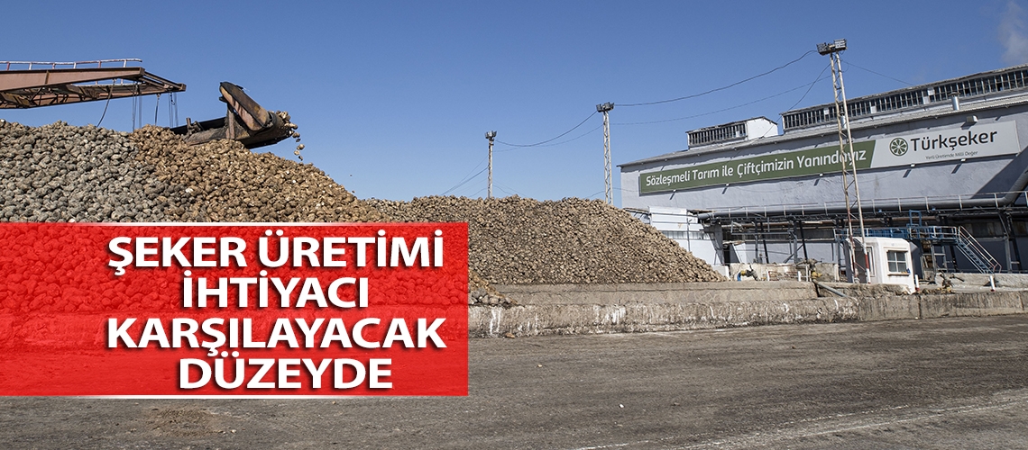 Şeker üretimi ihtiyacı karşılayacak düzeyde