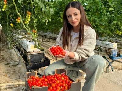 Jeotermal sera ile 4 mevsim üretim