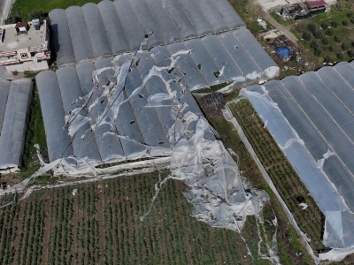 Şiddetli rüzgârın vurduğu seralarda hasar tespit çalışması başladı