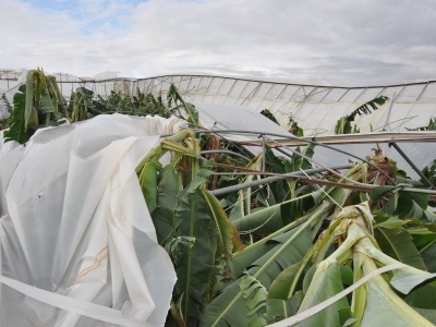 Şiddetli rüzgâr ve dolu seralara zarar verdi
