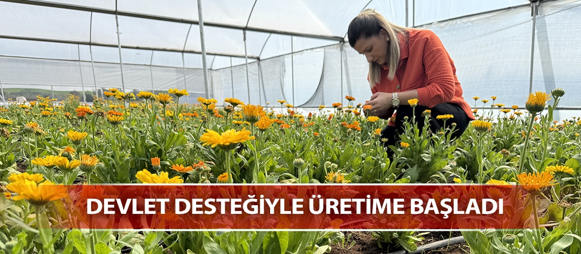 Devlet desteğiyle üretime başladı