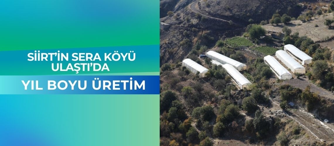 Siirt’in sera köyü Ulaştı’da yıl boyu üretim