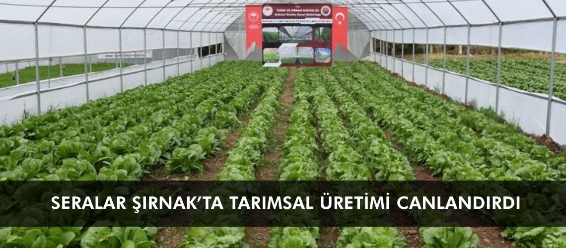 Seralar Şırnak’ta tarımsal üretimi canlandırdı