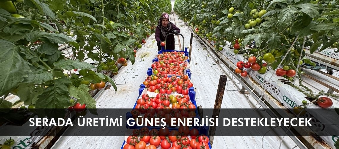 Serada üretimi güneş enerjisi destekleyecek
