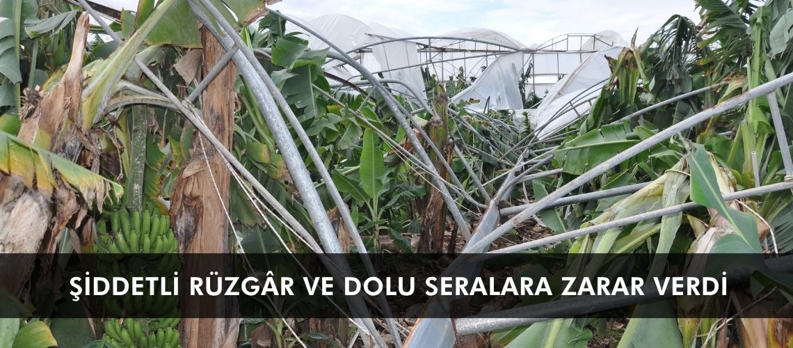 Şiddetli rüzgâr ve dolu seralara zarar verdi