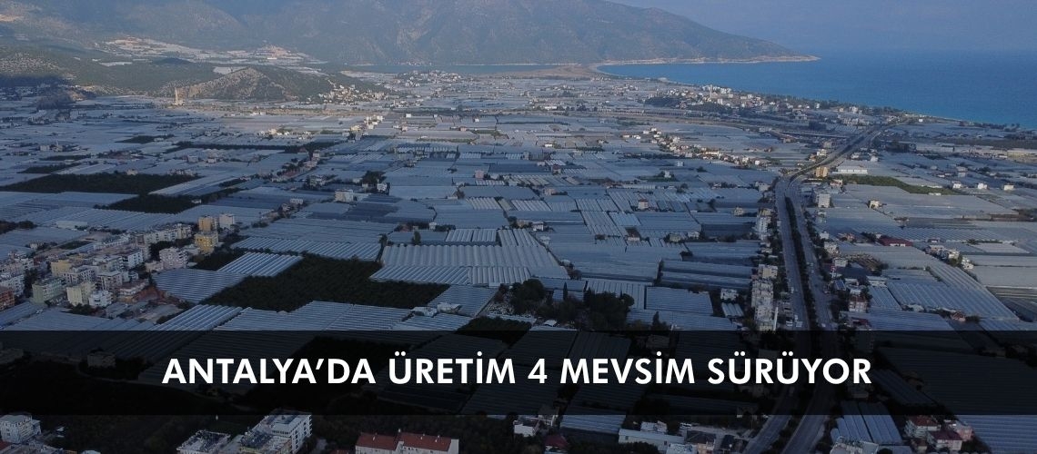 Antalya’da üretim 4 mevsim sürüyor