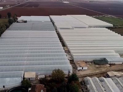 Yabancıların gözdesi GAP’ta seracılık