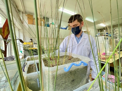 Atık sudan elektrik ürettiler