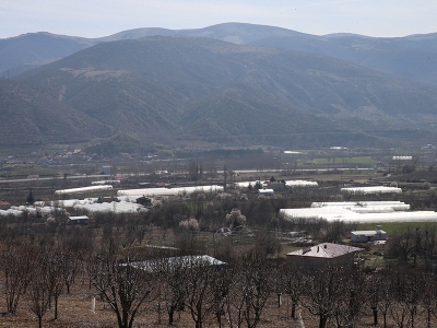 Kooperatifle güçlerini birleştirdiler seralarını büyüttüler