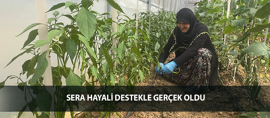 Sera hayali destekle gerçek oldu