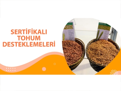 SERTİFİKALI TOHUM DESTEKLEMELERİ