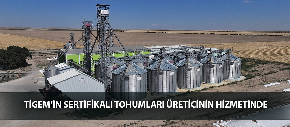 TİGEM’in sertifikalı tohumları üreticinin hizmetinde