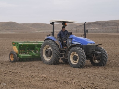 Sertifikalı tohumlar kuralıkla mücadele ediyor