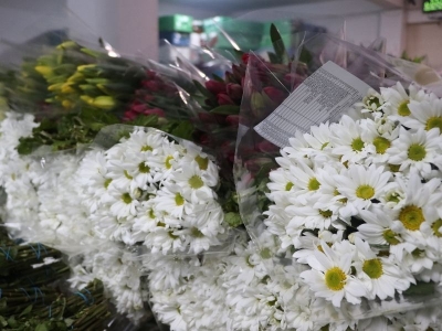 Kesme çiçek sektörü sevgililer gününe hazır