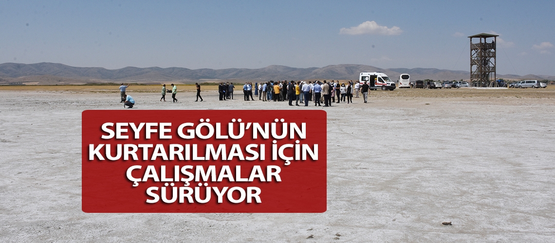 Seyfe Gölü’nün kurtarılması için çalışmalar sürüyor