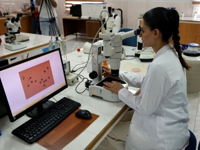 Sığırlarda genetik devrim