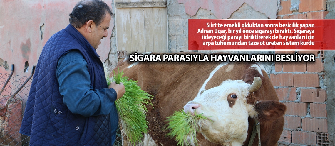 Sigara parasıyla hayvanlarını besliyor