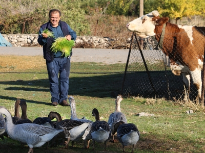Sigara parasıyla hayvanlarını besliyor