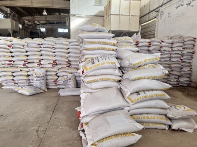 Siirt’te üreticilere mercimek desteği