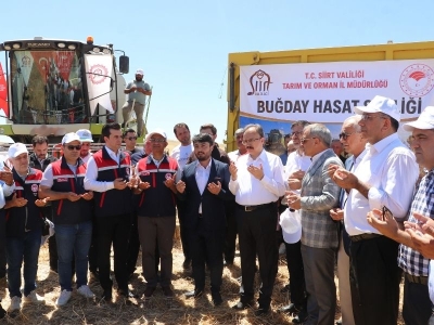 Siirt'te buğday hasat şenliği düzenlendi