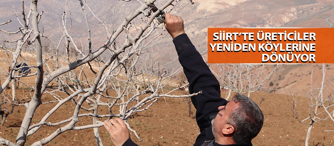 Siirt’te üreticiler yeniden köylerine dönüyor