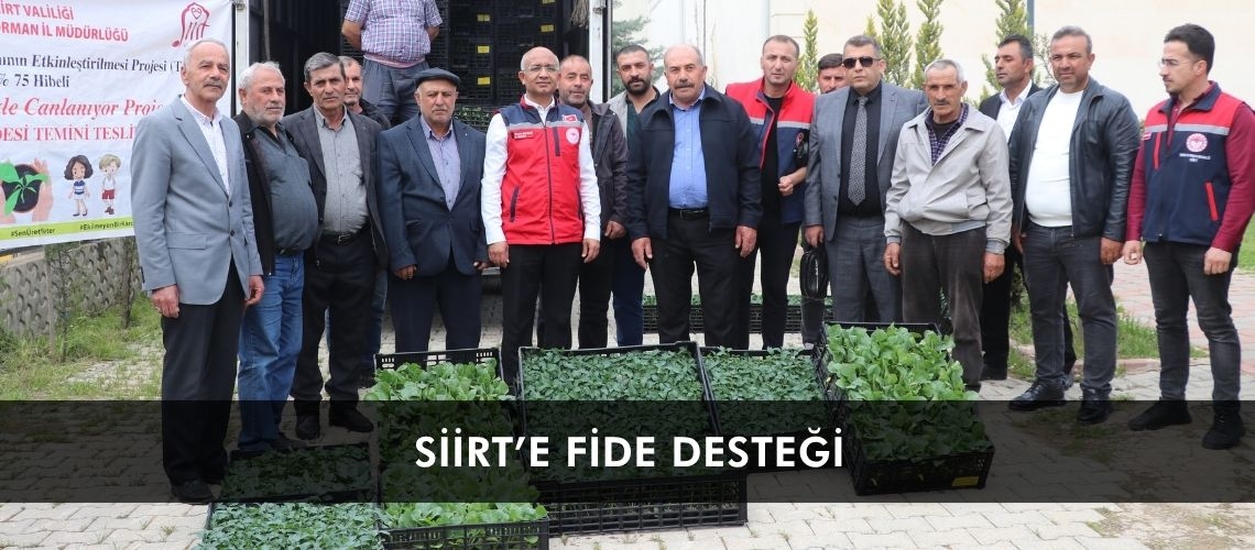 Siirt’e fide desteği