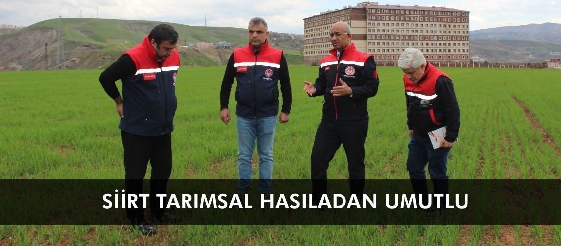 Siirt tarımsal hasıladan umutlu
