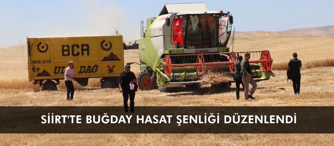 Siirt'te buğday hasat şenliği düzenlendi