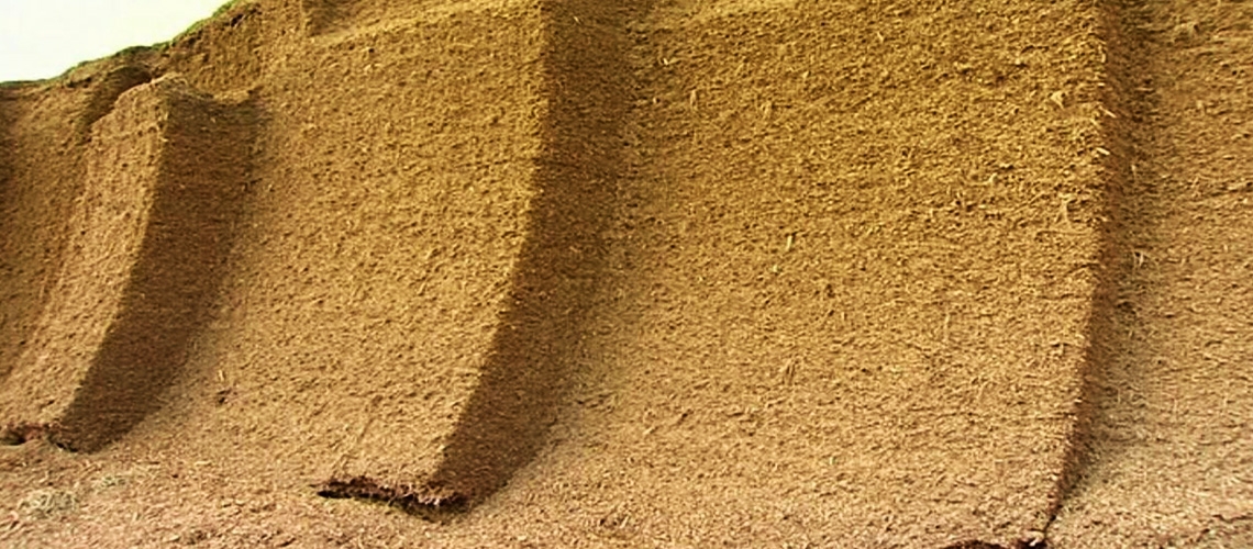 Silo ve Silaj-1