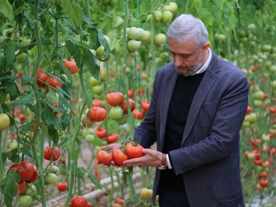 Simav’da üretim jeotermal enerjiyle artacak