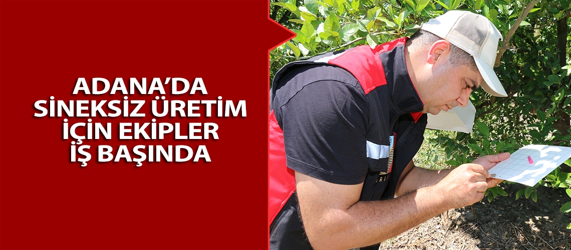Adana’da sineksiz üretim için ekipler iş başında